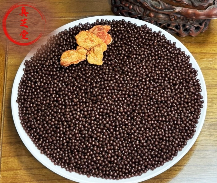 椴木養殖牛樟芝 (菇) 子實體口含粒