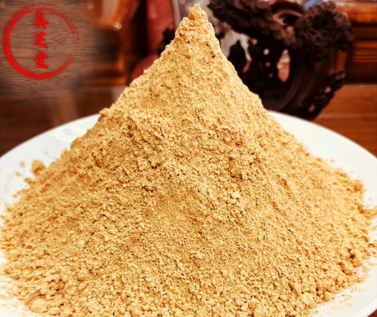 椴木培育牛樟芝子實體純粉末
