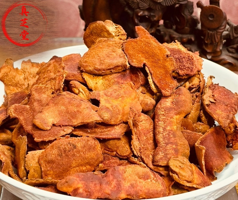 牛樟芝(三年半特頂) 生鮮品